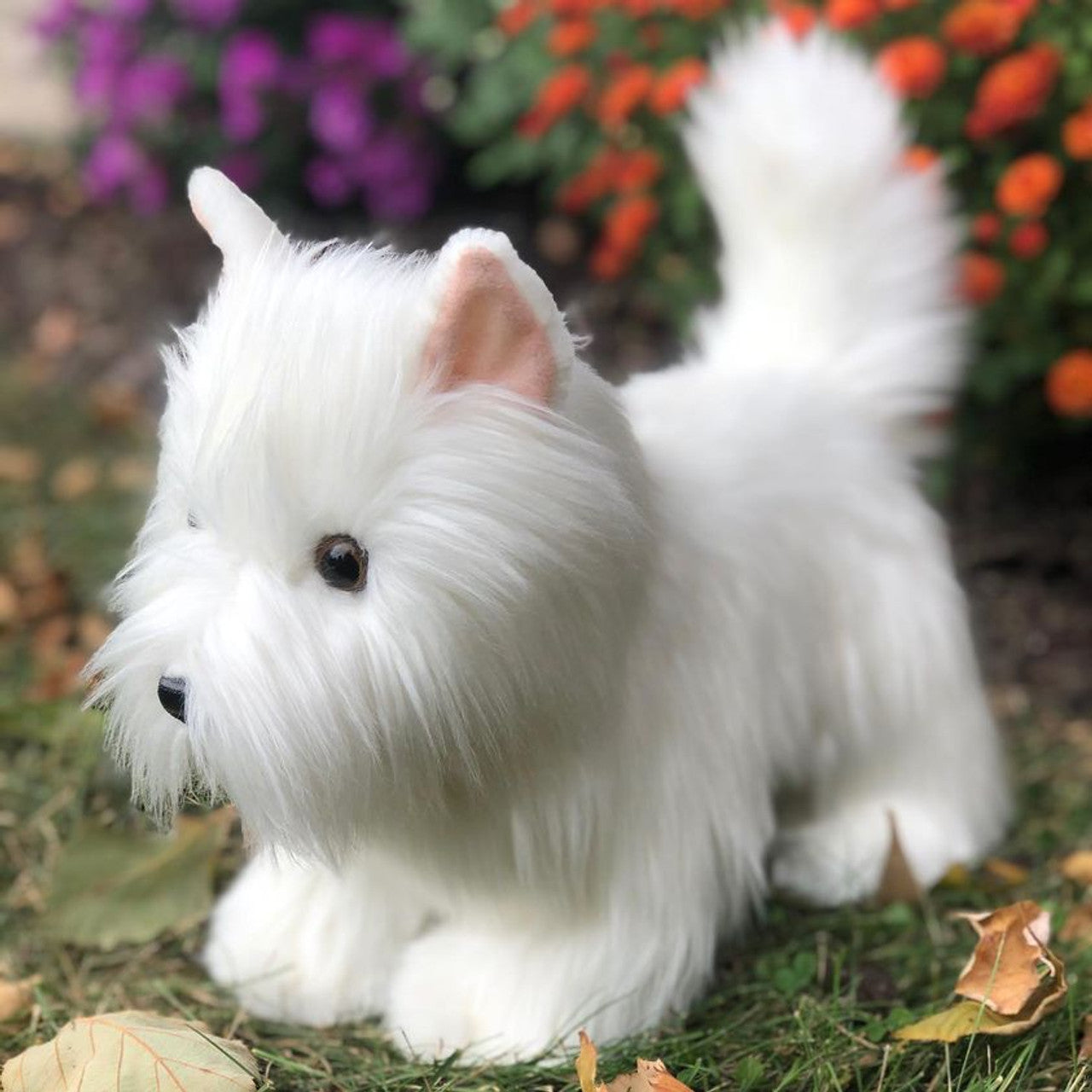 Peluche Chien - Joy