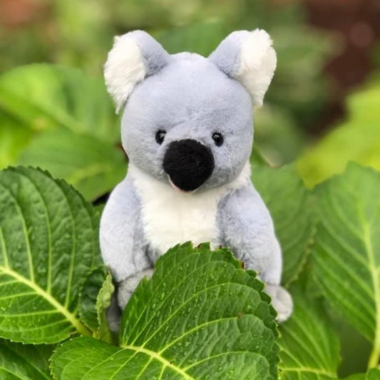 Peluche Koala - Marley