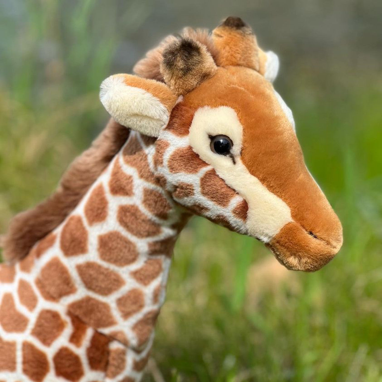 Peluche Girafe - Maya