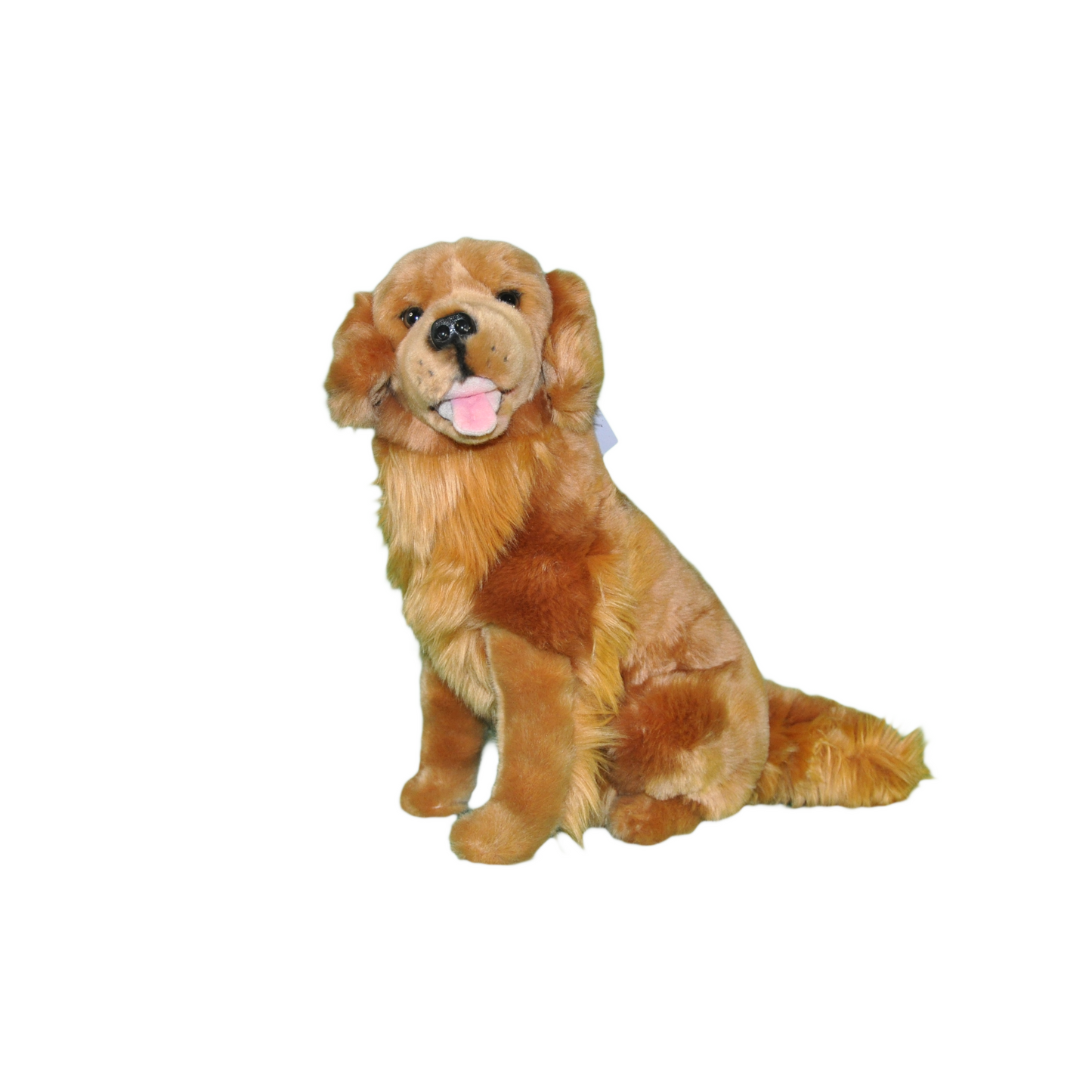 Peluche Golden Retriever - Peluche Chien