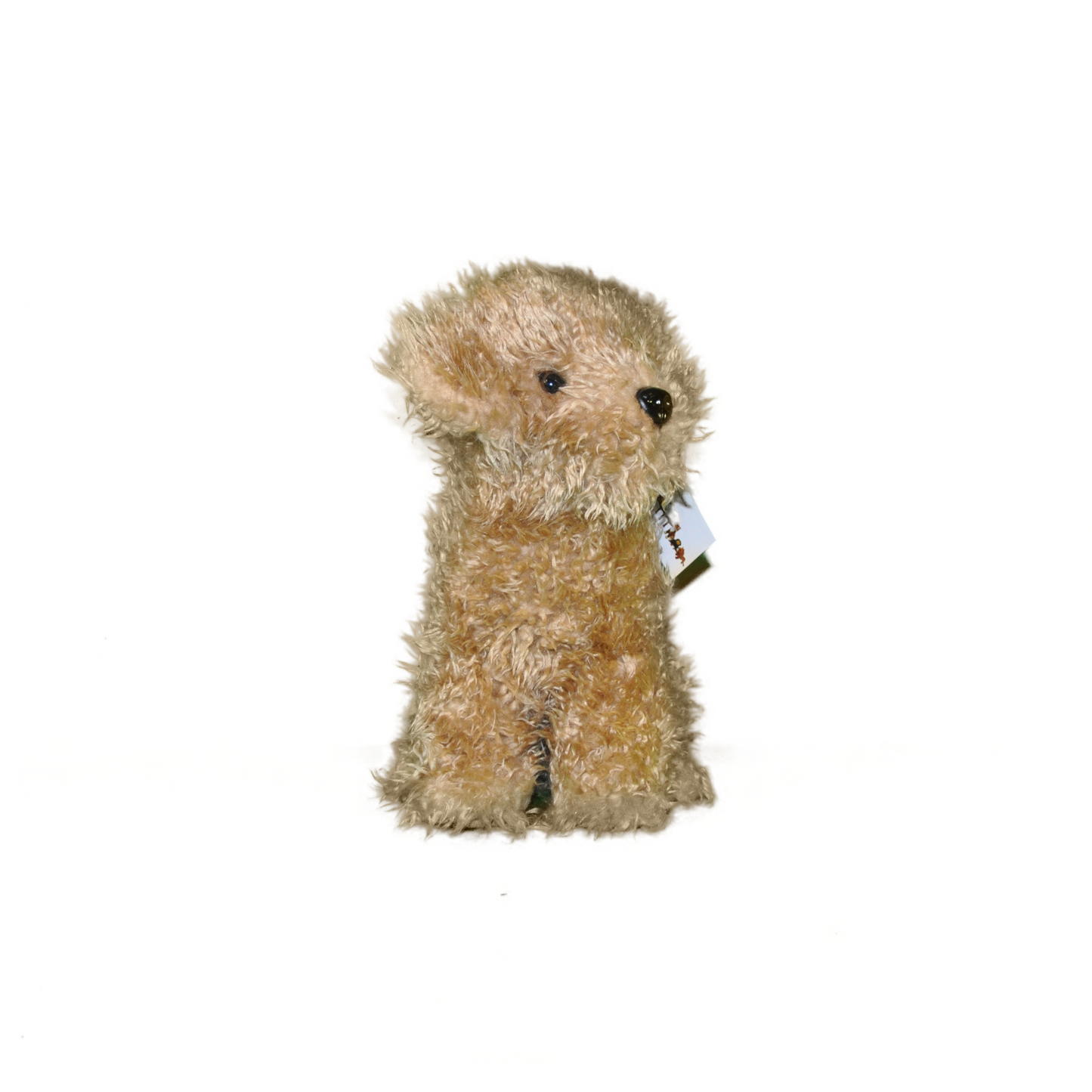 Peluche Chien Labradoodle - Roxy