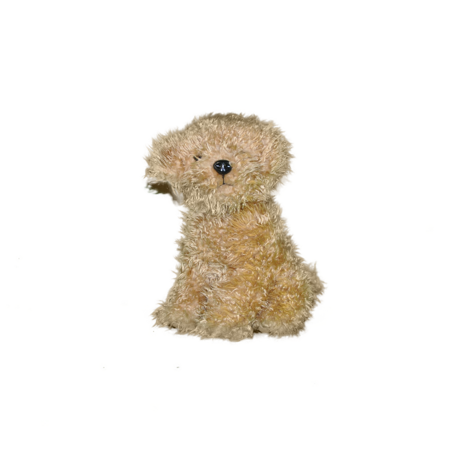 Peluche Chien Labradoodle - Roxy