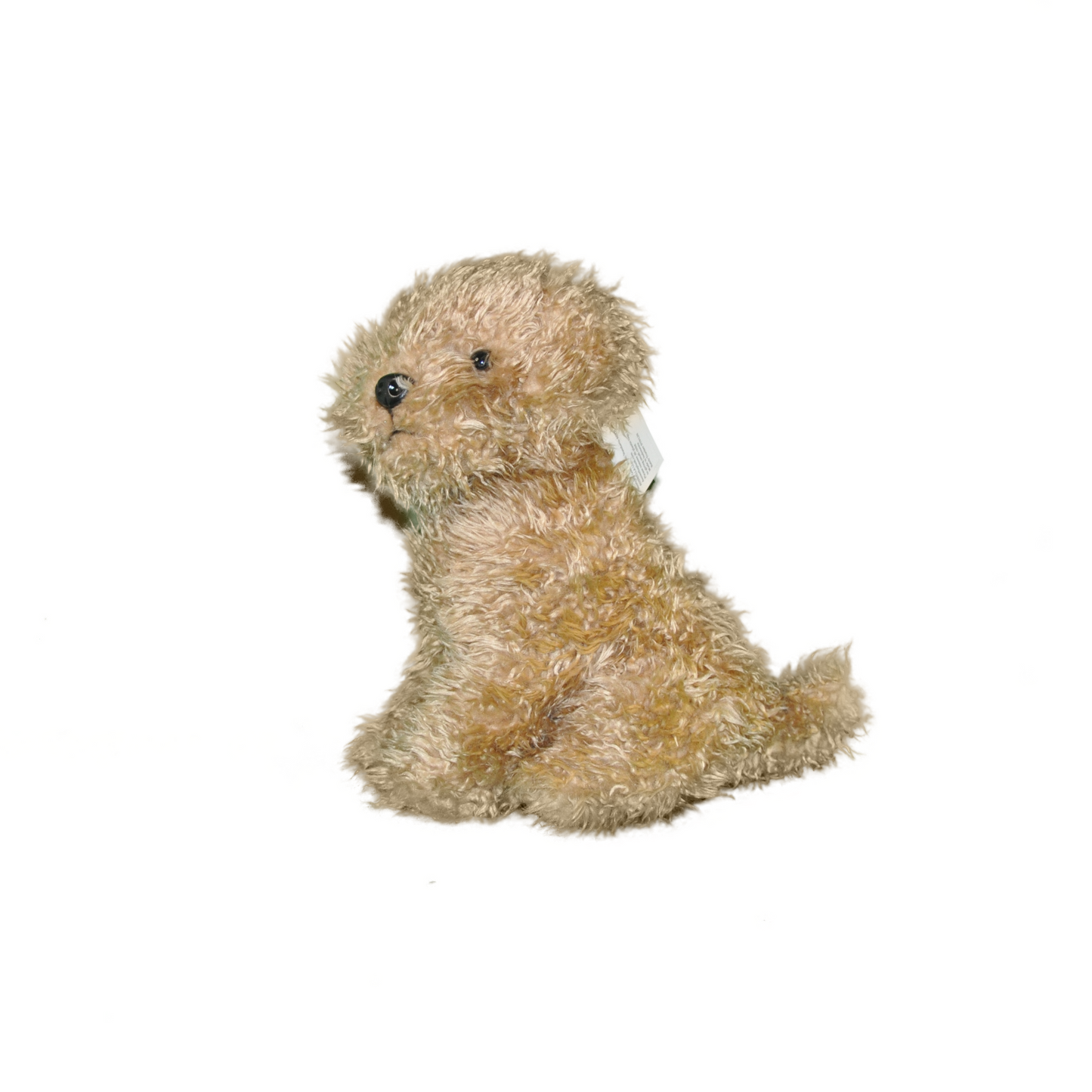 Peluche Chien Labradoodle - Roxy