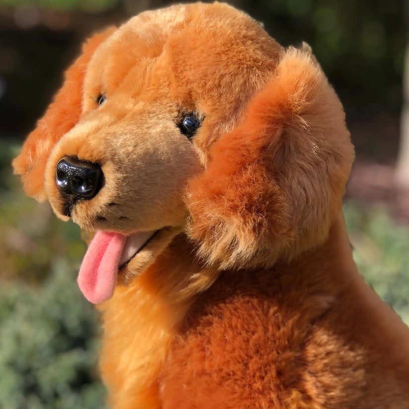 Peluche Golden Retriever - Peluche Chien