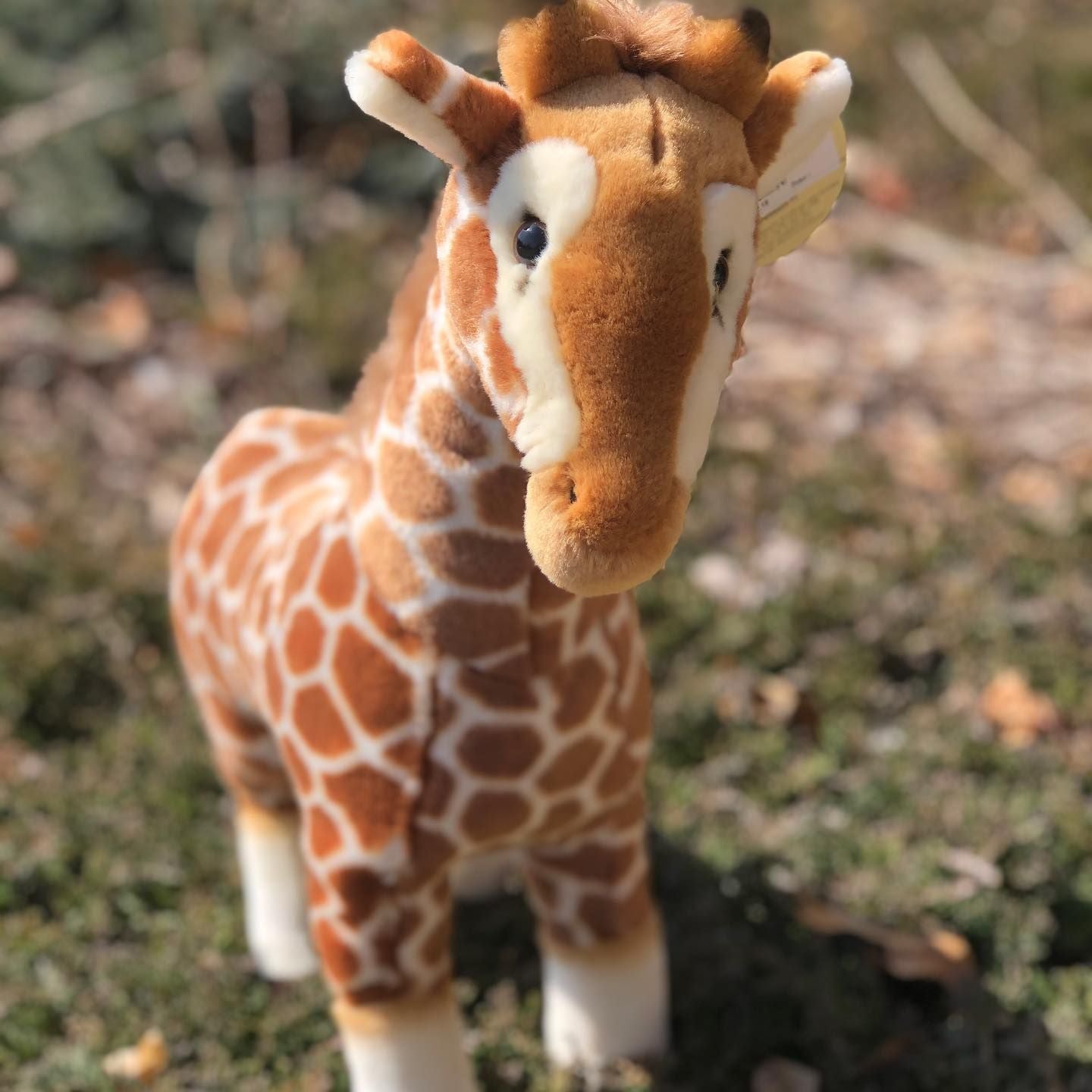 Peluche Girafe - Maya