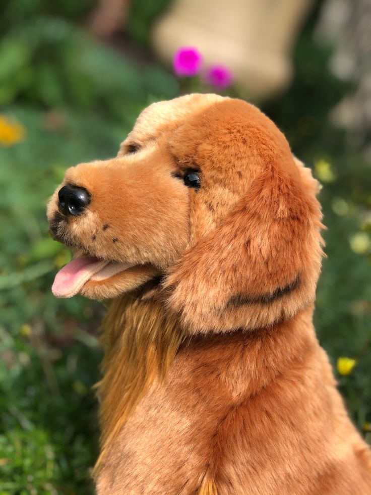 Peluche Golden Retriever - Peluche Chien